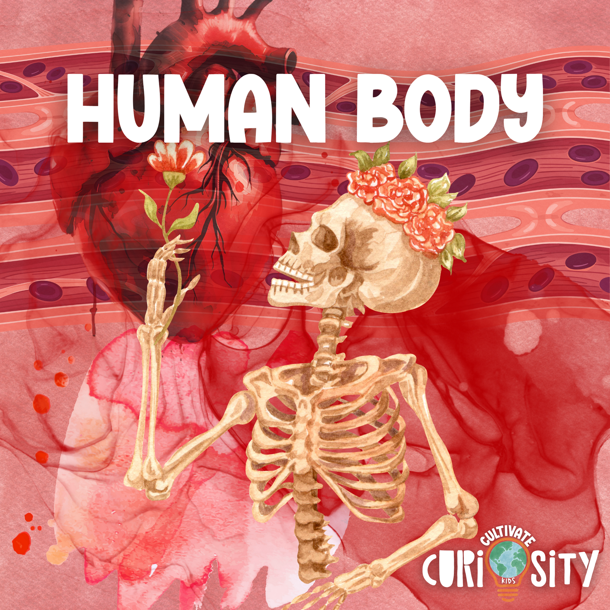 Human Body Unit | Cultivate Curiosity for Kids
