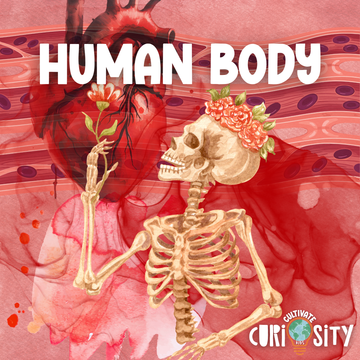 Human Body Unit | Cultivate Curiosity for Kids